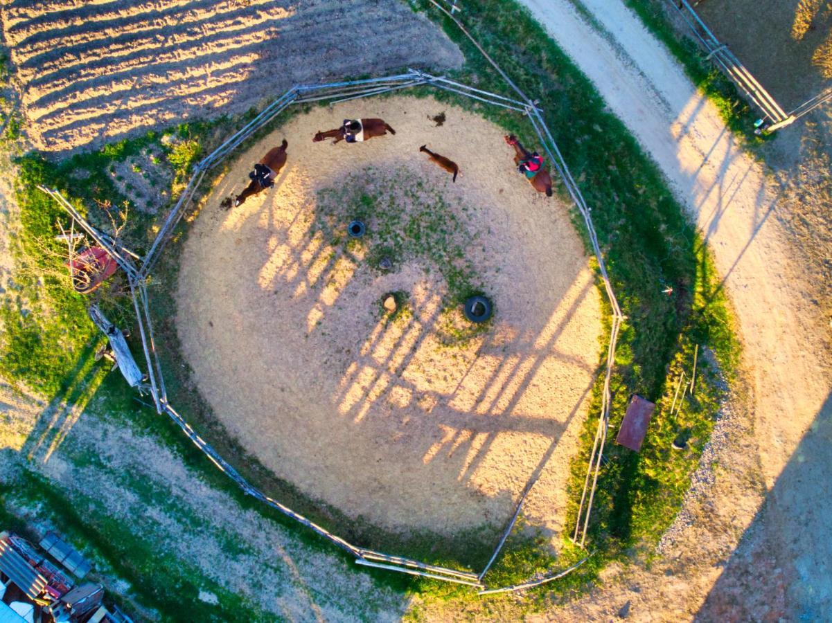 Gospodarstwo Agroturystyczne "Paryja" Olpiny Εξωτερικό φωτογραφία